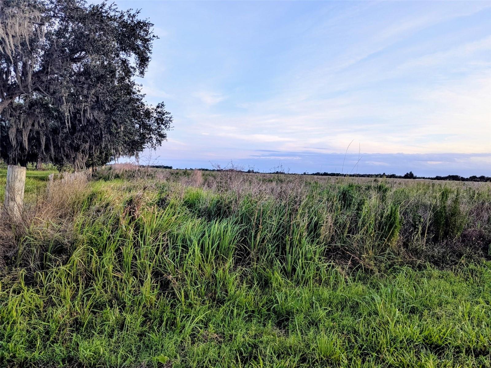 Photo of TOM BRYAN RD ZOLFO SPRINGS FL 33890