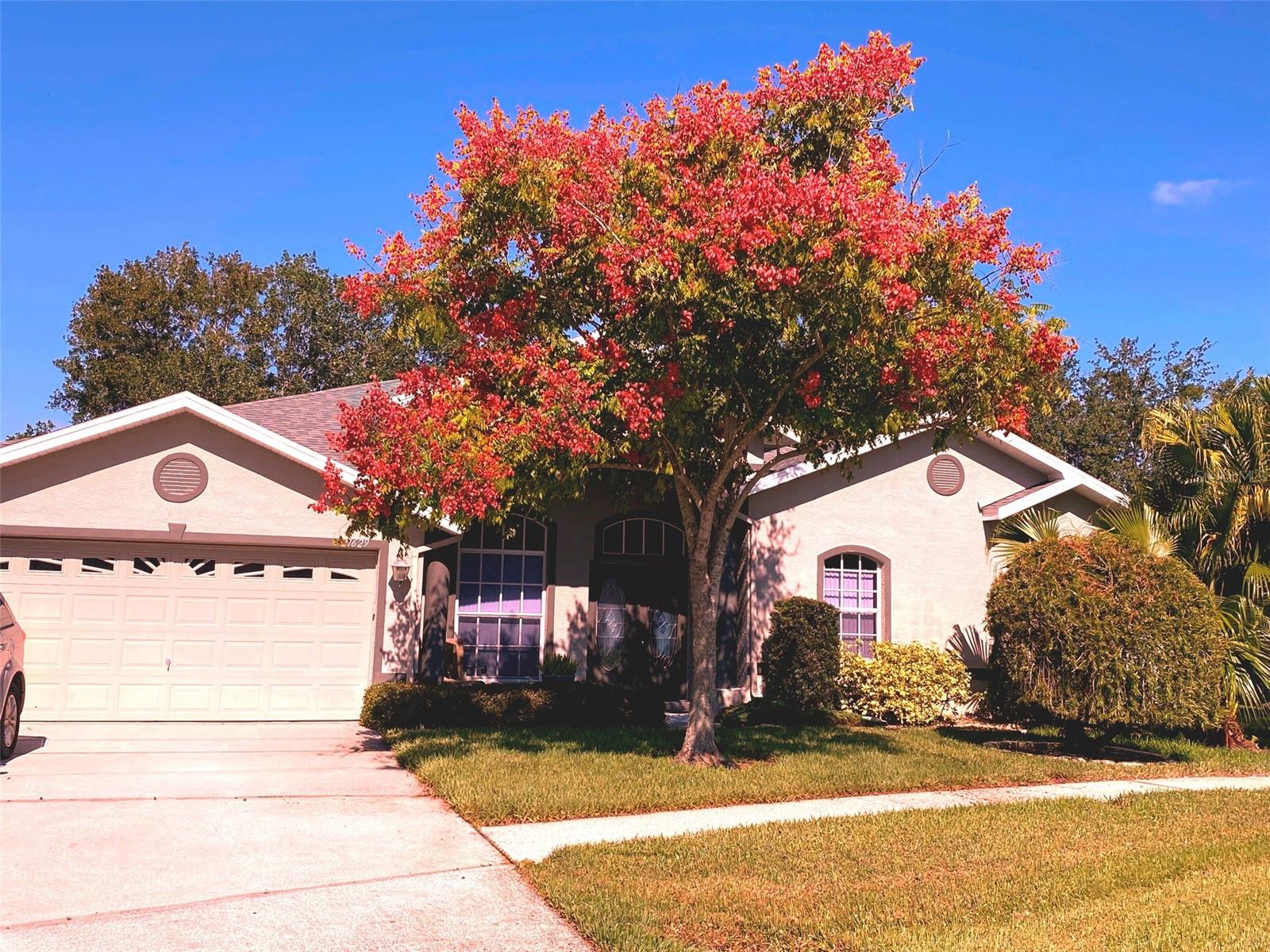 Photo of 21629 SILVER BAY PLACE LAND O LAKES FL 34637