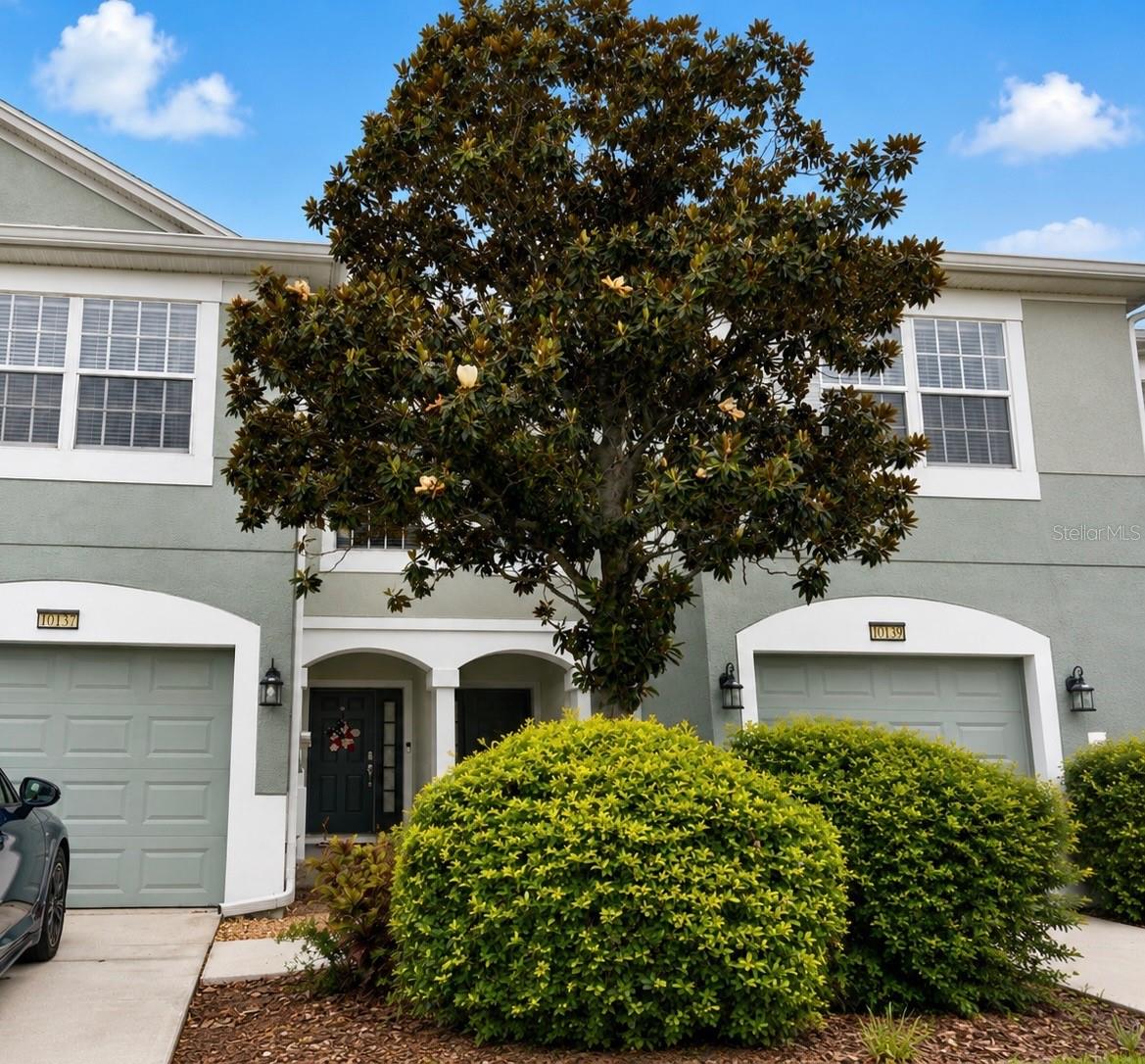 Photo of 10137 PINK PALMATA COURT RIVERVIEW FL 33578