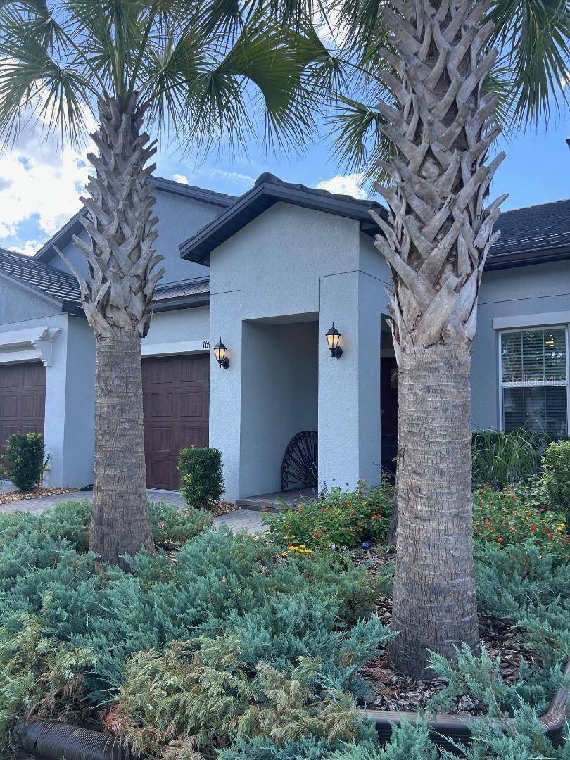 Photo of 16919 FORGE SURF STREET LAND O LAKES FL 34638