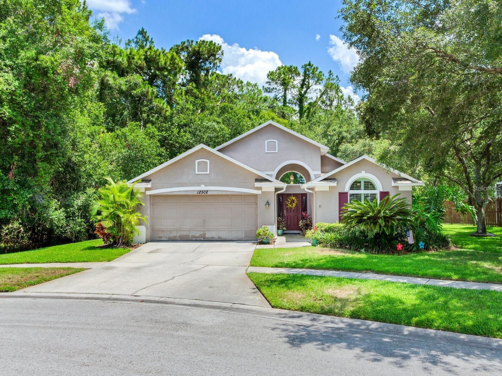 Photo of 12502 BLAZING STAR DRIVE TAMPA FL 33626