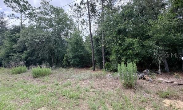 Photo of 3223 E SCOFIELD ST INVERNESS FL 34453