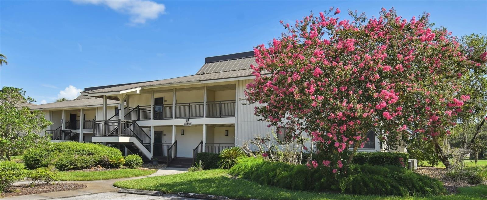 Photo of 29129 BAY HOLLOW DRIVE #3212 WESLEY CHAPEL FL 33543