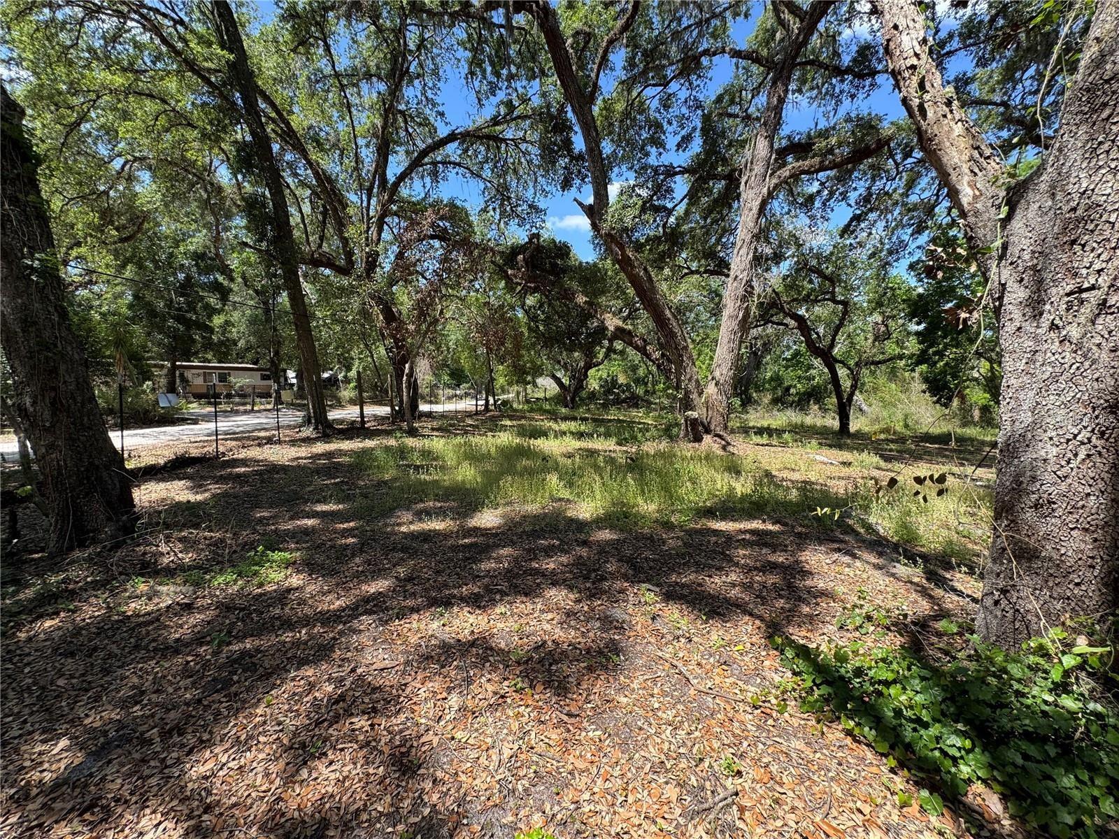 Photo of TANNAHILL STREET DADE CITY FL 33523