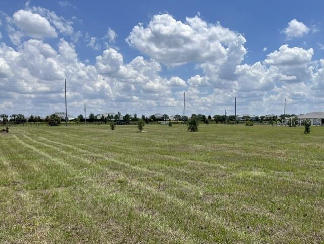 Photo of 15202 PATTERSON ROAD ODESSA FL 33556