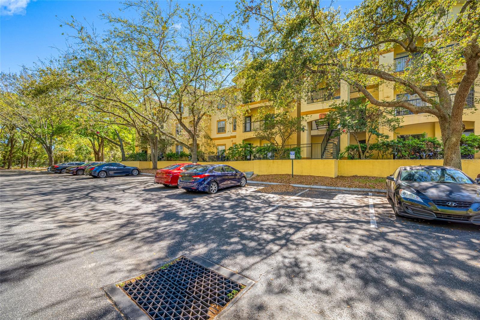 Photo of 5612 PINNACLE HEIGHTS CIRCLE #206 TAMPA FL 33624