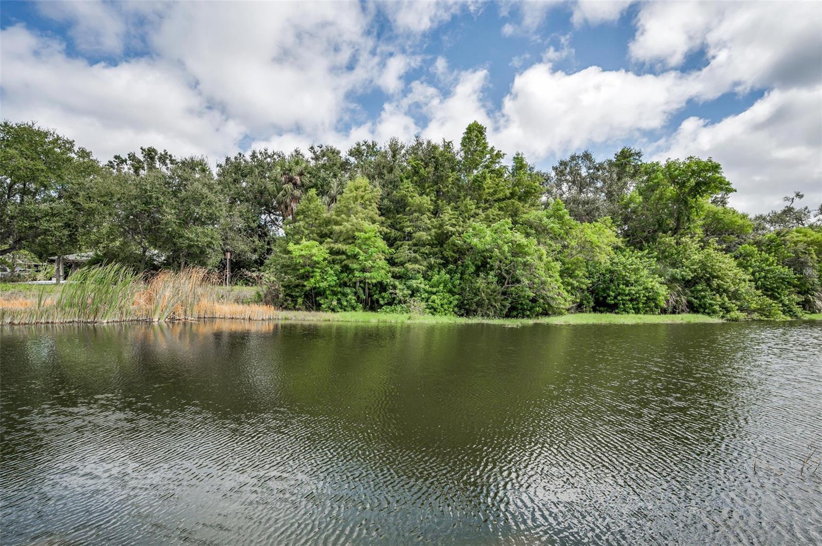 Photo of 1400 WATER VIEW DRIVE #104 LARGO FL 33771
