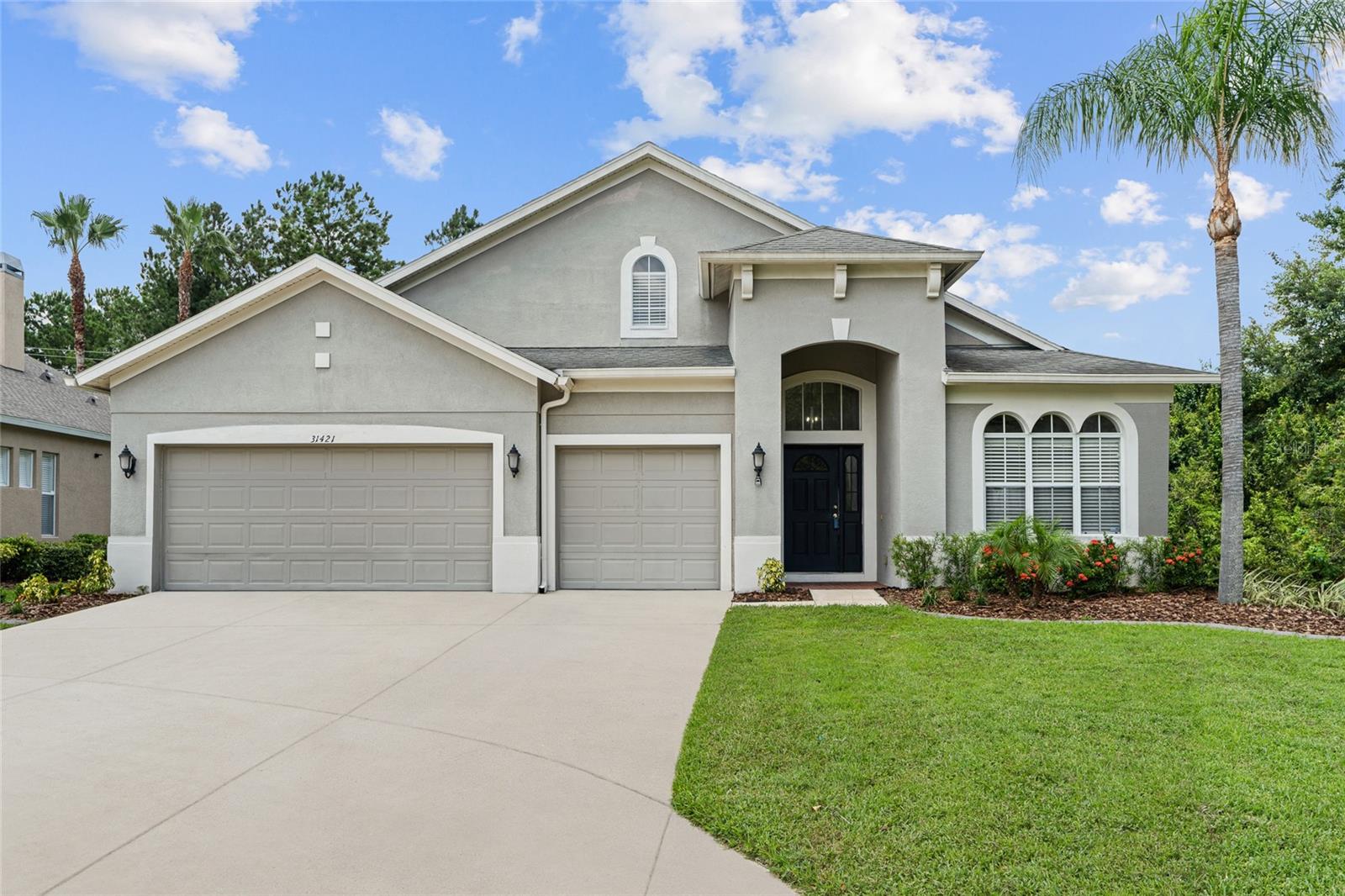 Photo of 31421 ANNISTON DRIVE WESLEY CHAPEL FL 33543