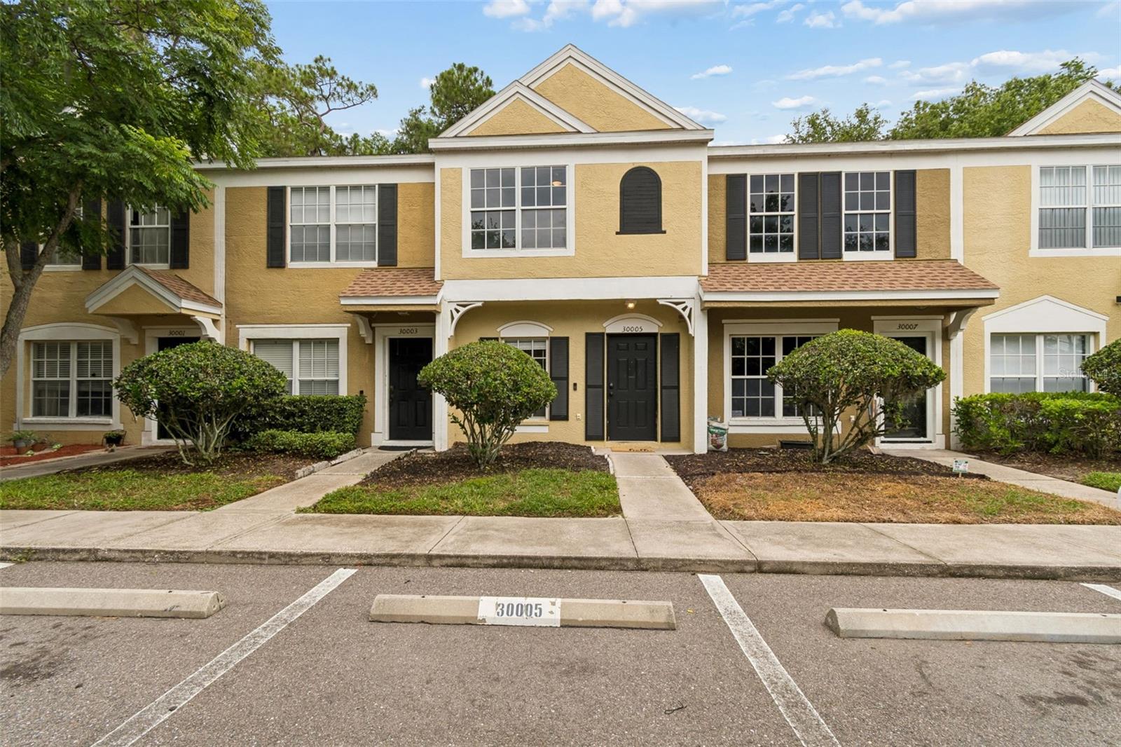 Photo of 30005 GRANDA HILLS COURT WESLEY CHAPEL FL 33543