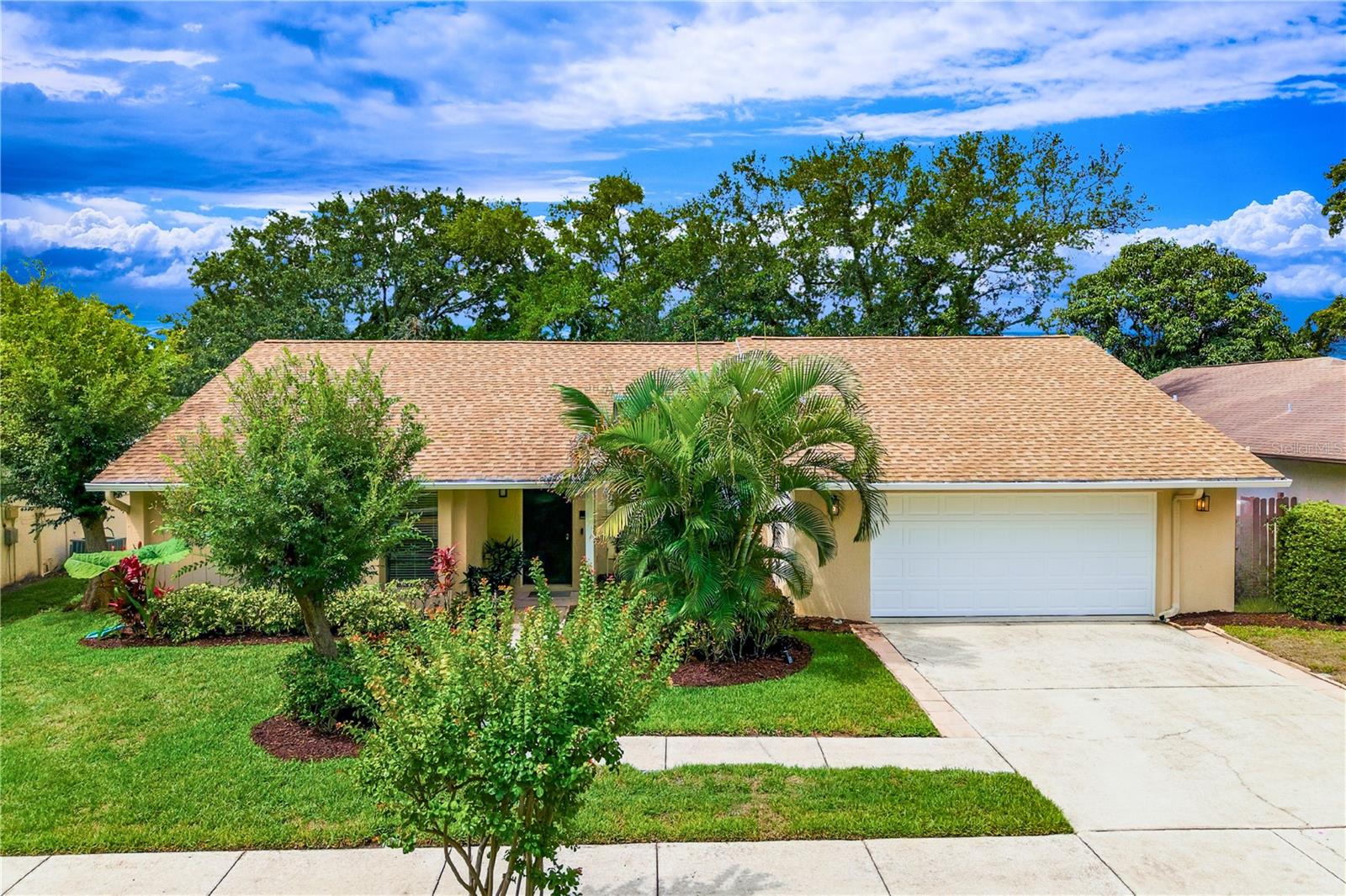 Photo of 341 ARBOR DRIVE PALM HARBOR FL 34683