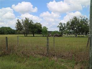 Photo of 11819 TARPON SPRINGS ROAD ODESSA FL 33556