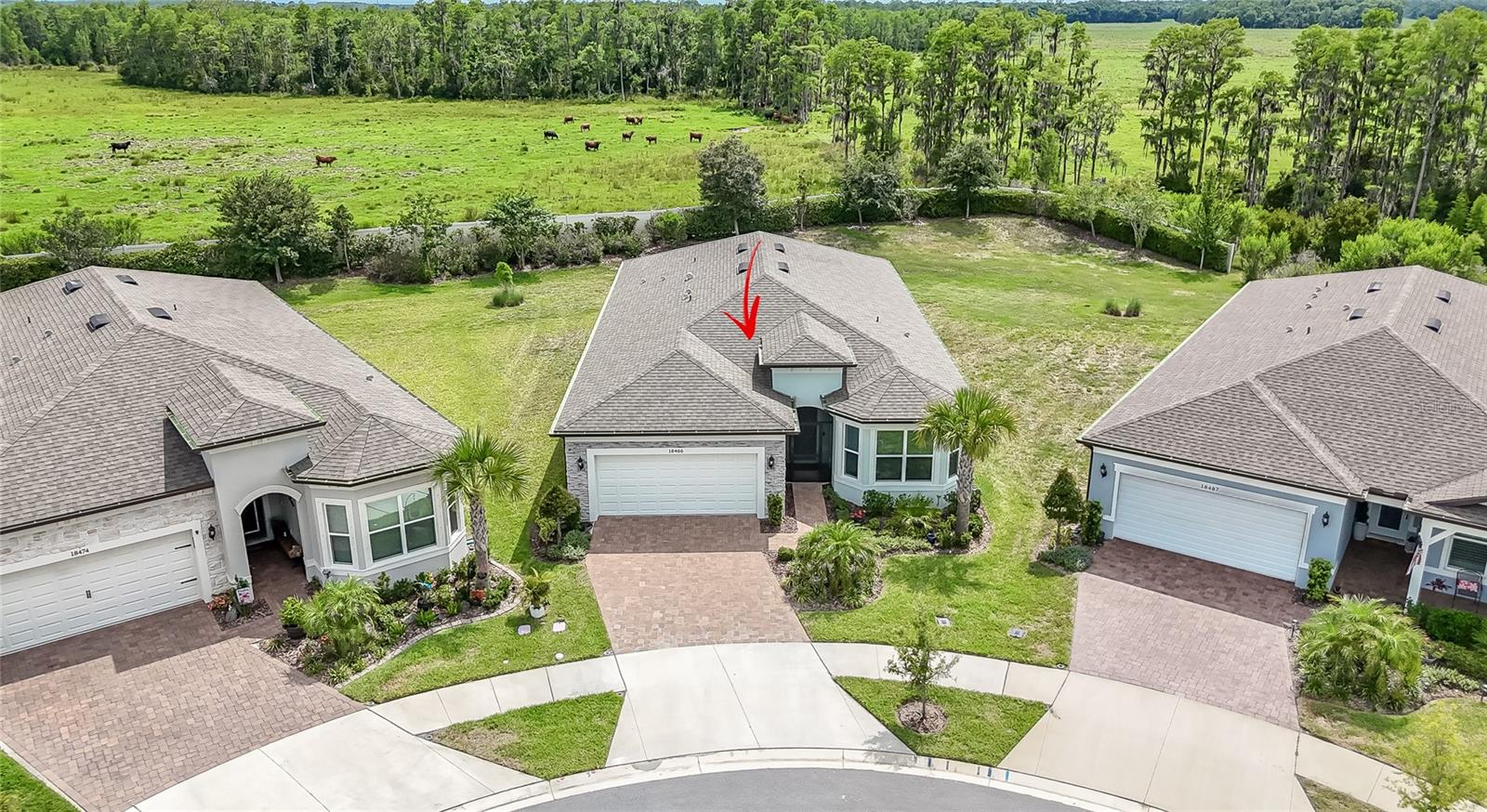Photo of 18466 COASTAL SHORE TERRACE LAND O LAKES FL 34638