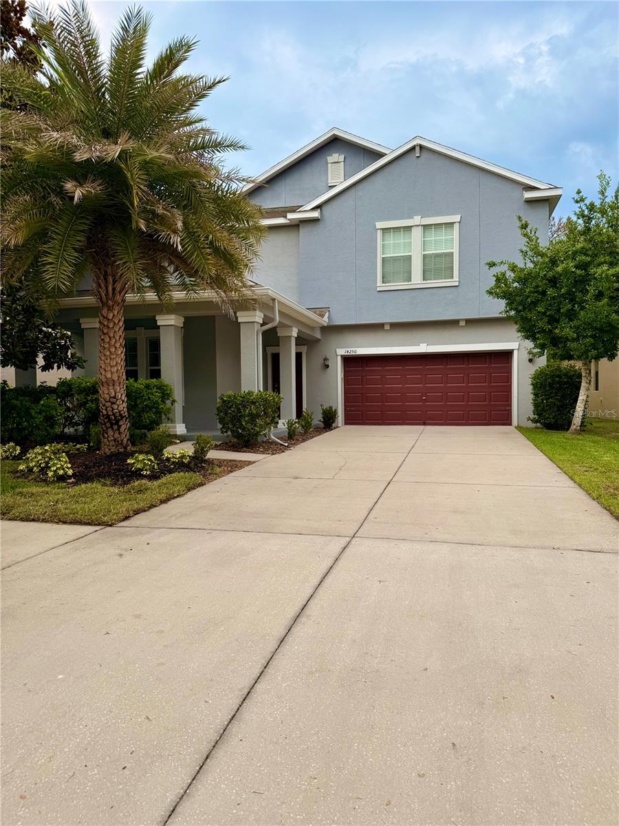 Photo of 14250 BLUE DASHER DRIVE RIVERVIEW FL 33569