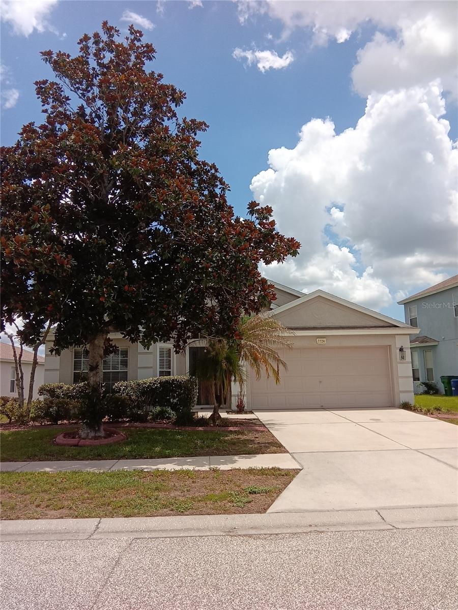 Photo of 7724 OUTERBRIDGE STREET WESLEY CHAPEL FL 33545