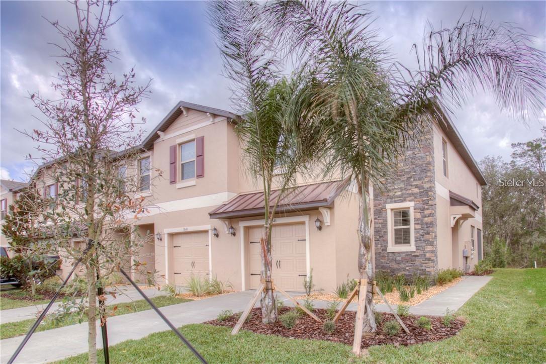 Photo of 11646 CASTINE STREET NEW PORT RICHEY FL 34654