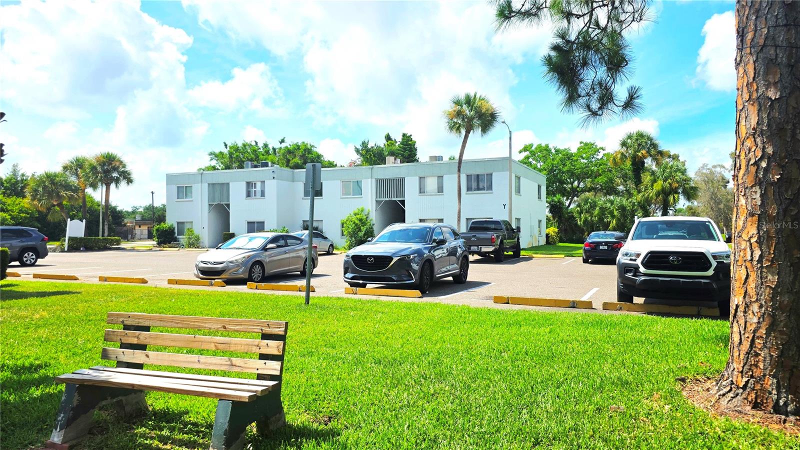 Photo of 851 N KEENE ROAD #Y7 CLEARWATER FL 33755