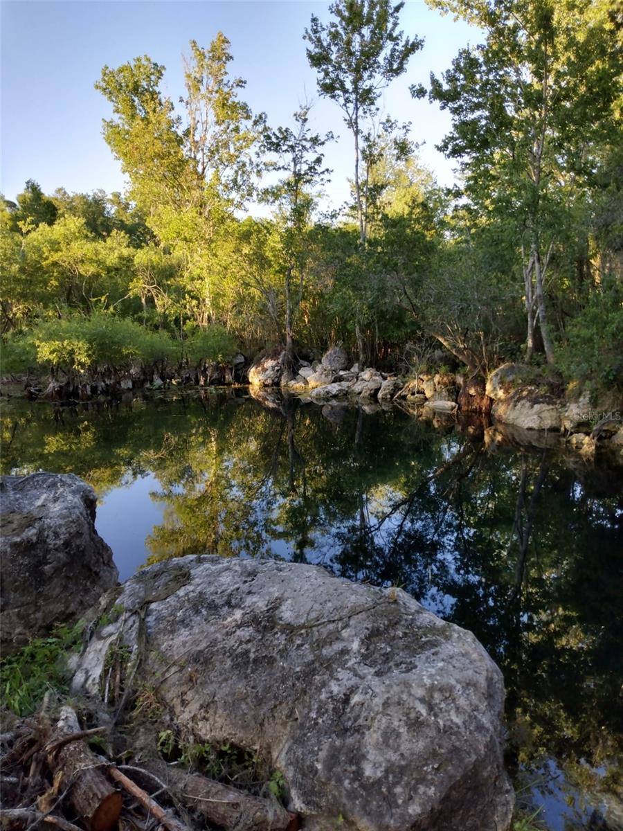 Photo of 8800 S STEED TERRACE FLORAL CITY FL 34436