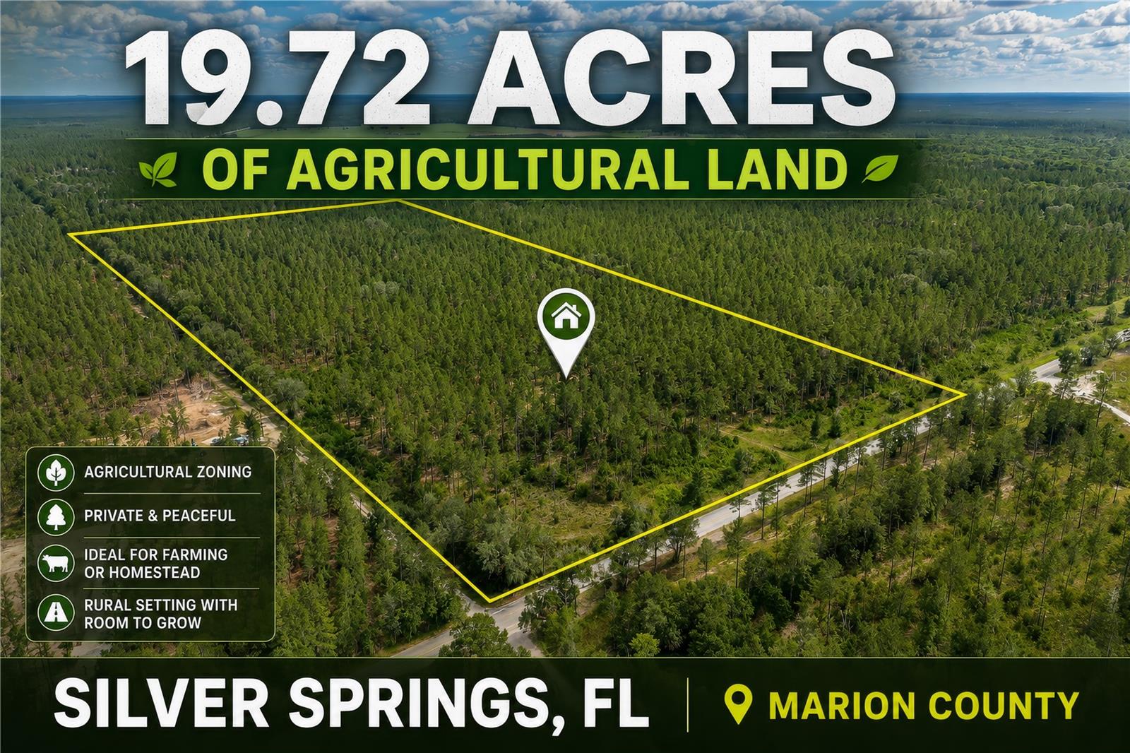 Photo of NE 90TH STREET ROAD FORT MC COY FL 32134