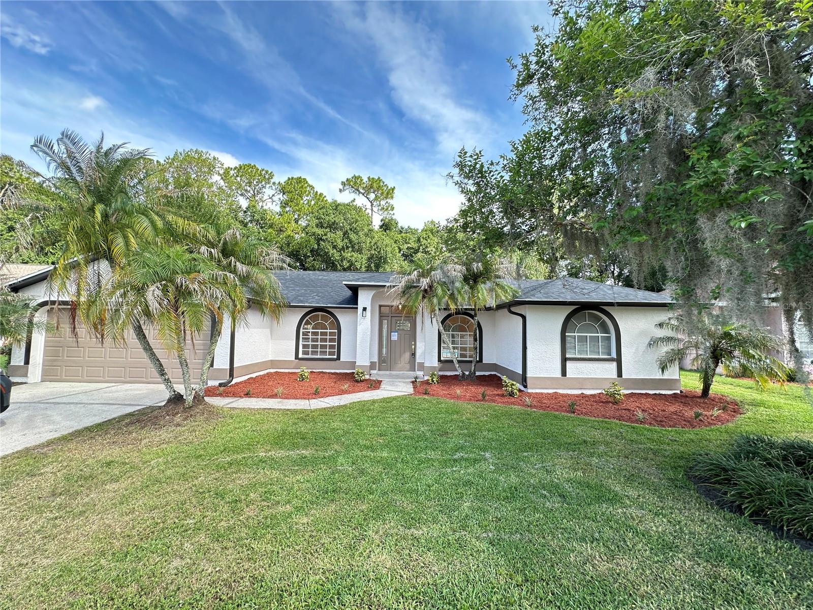 Photo of 26035 LOBLOLLY LANE LAND O LAKES FL 34639
