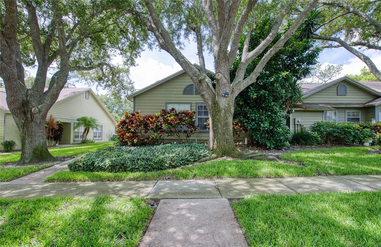 Photo of 2390 BENTLEY DR PALM HARBOR FL 34684