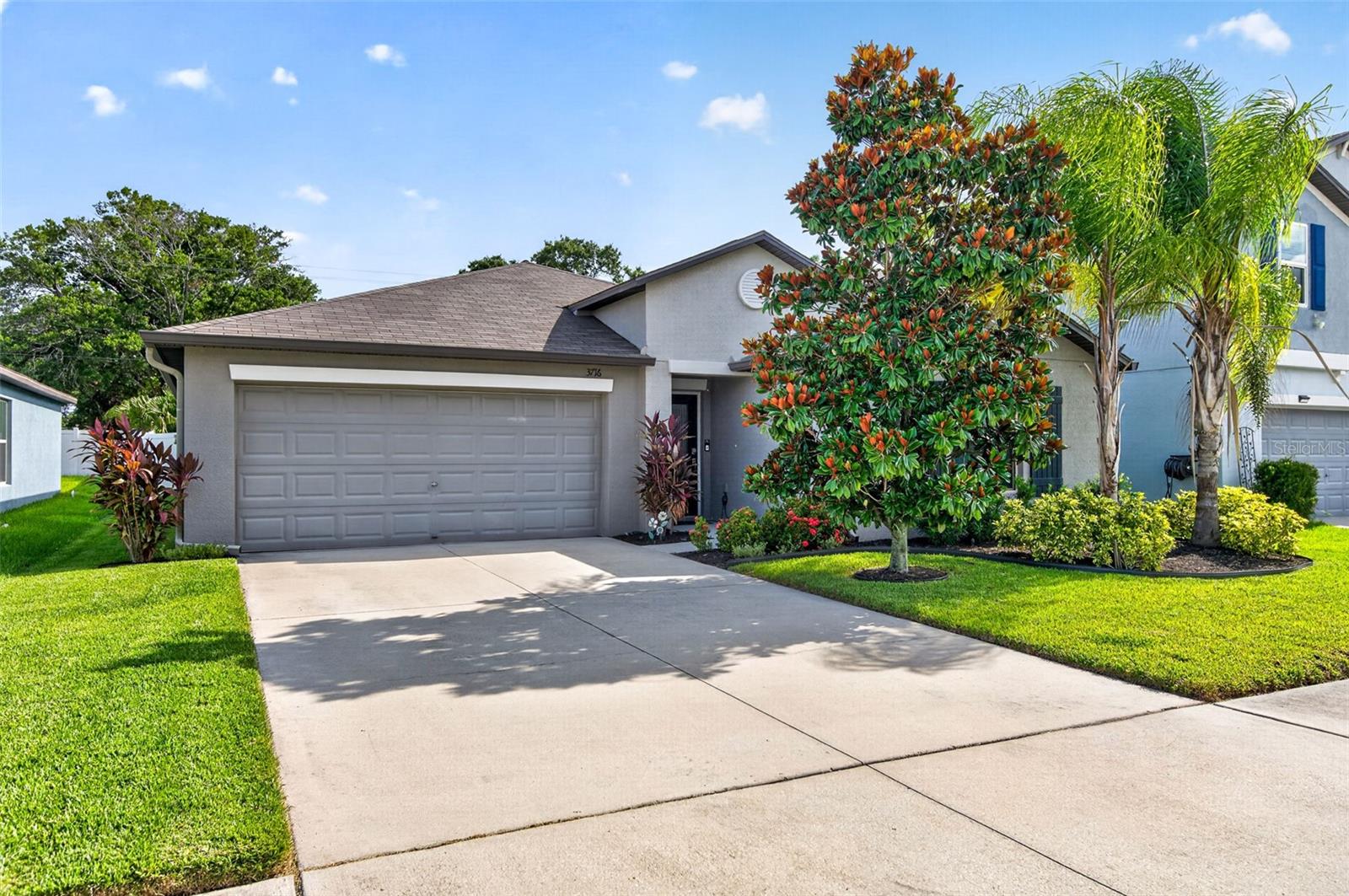 Photo of 3716 CAT MINT STREET TAMPA FL 33619
