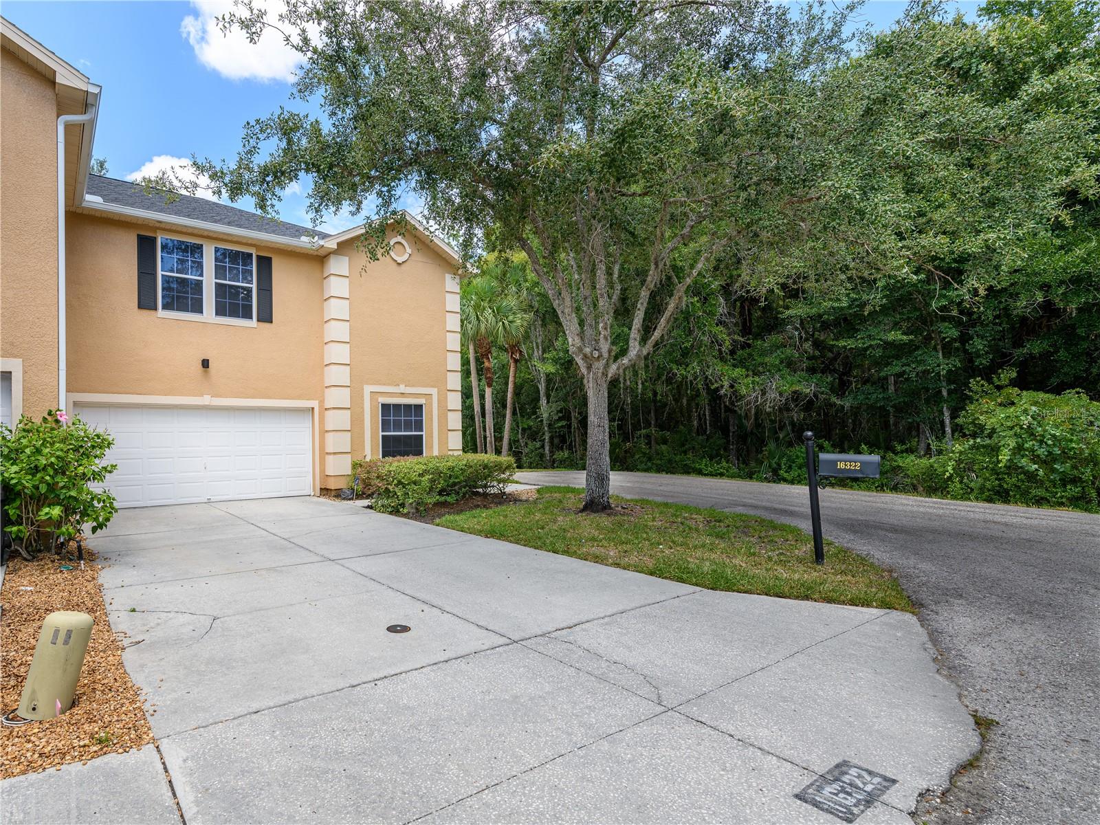 Photo of 16322 PARKSTONE PALMS COURT TAMPA FL 33647