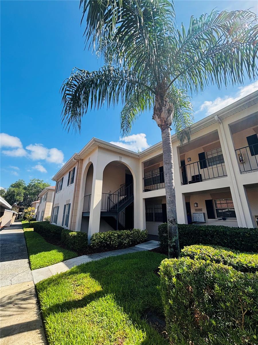 Photo of 10356 CARROLLWOOD LANE #205 TAMPA FL 33618