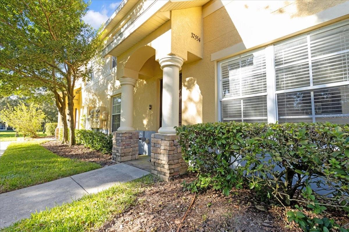 Photo of 37554 DALIHA TERRACE ZEPHYRHILLS FL 33542