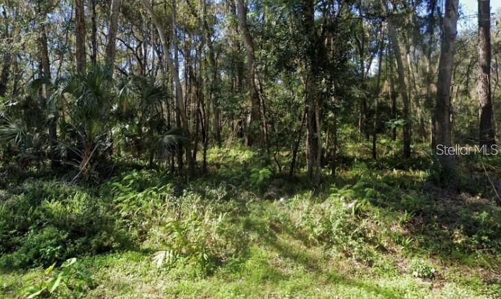 Photo of 0 ZOLLER STREET BROOKSVILLE FL 34601
