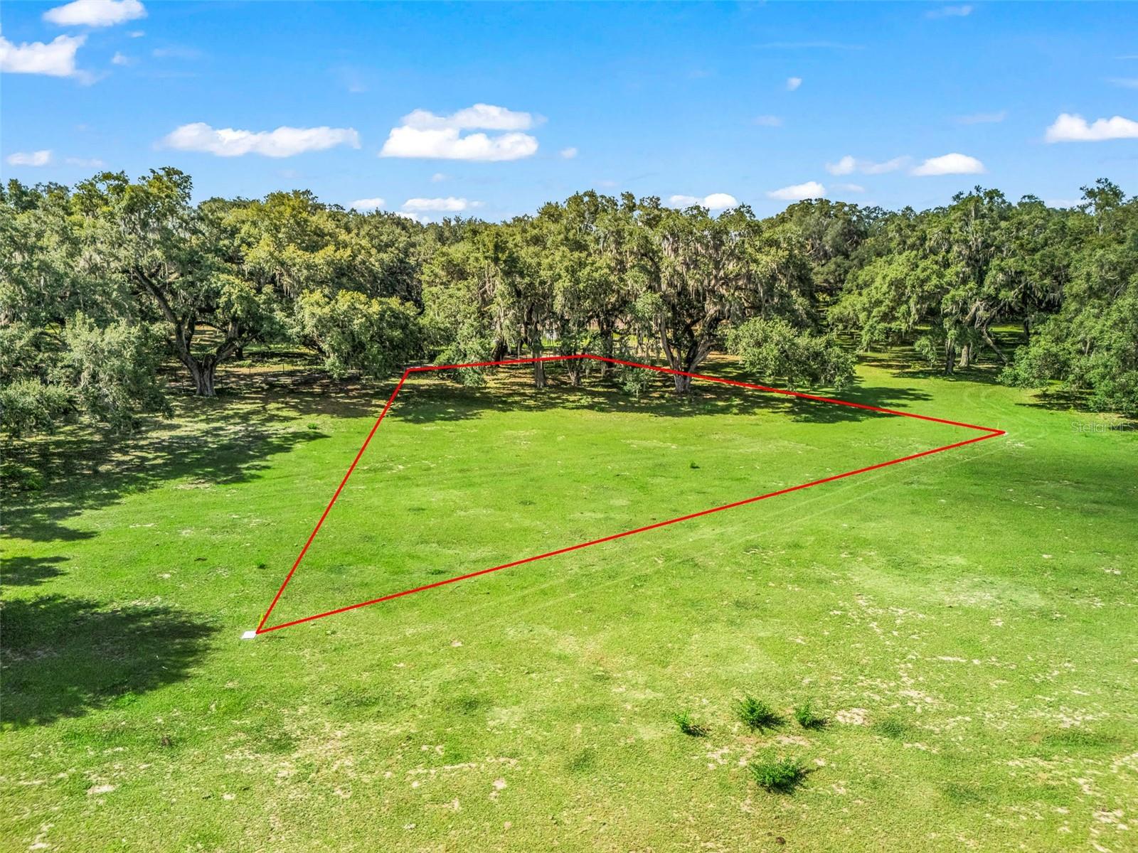 Photo of Lot 11 CR 543 BUSHNELL FL 33513