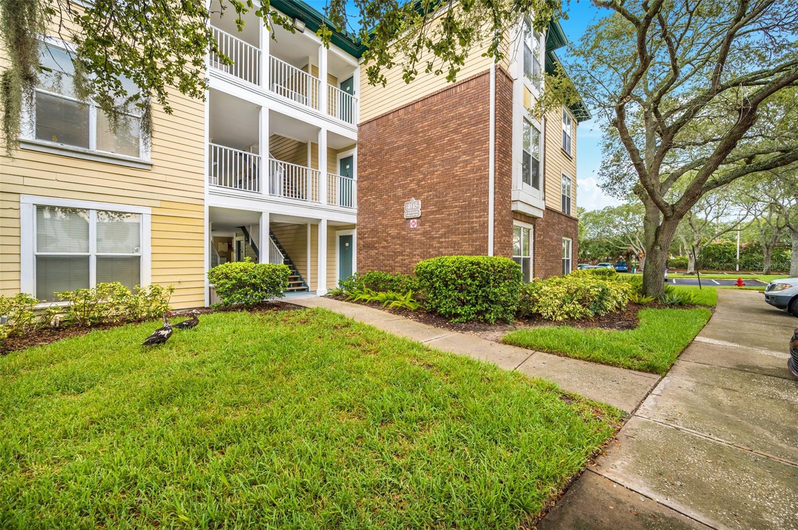 Photo of 4115 CHATHAM OAK COURT #209 TAMPA FL 33624