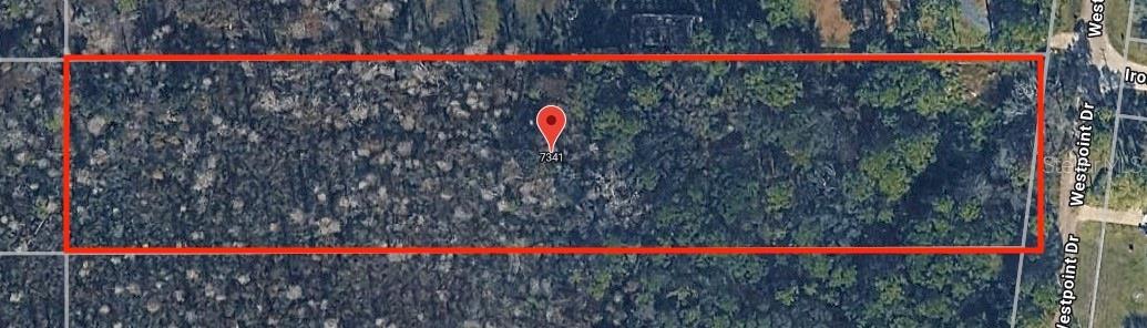 Photo of 7341 WESTPOINT DRIVE WESLEY CHAPEL FL 33544