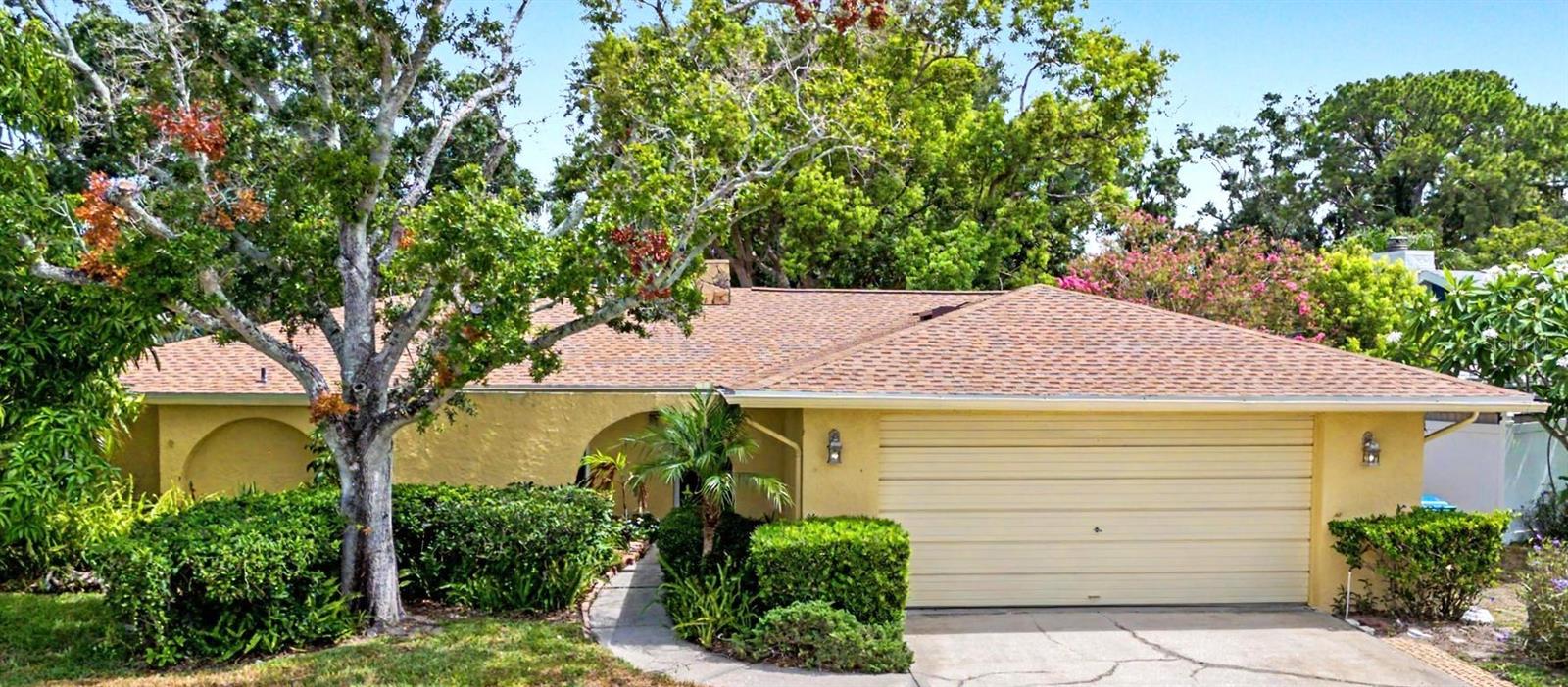 Photo of 1100 PERSIMMON DRIVE PALM HARBOR FL 34683