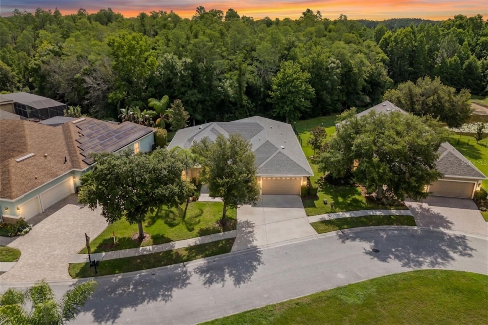 Photo of 14834 MAN O WAR DRIVE ODESSA FL 33556