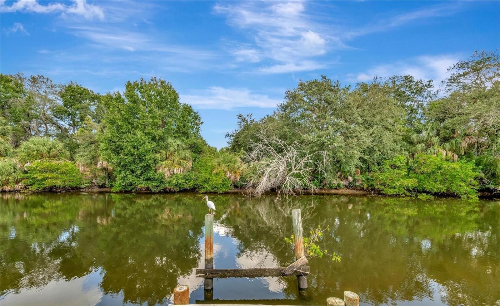 Photo of 236 N SAINT THOMAS CIRCLE APOLLO BEACH FL 33572