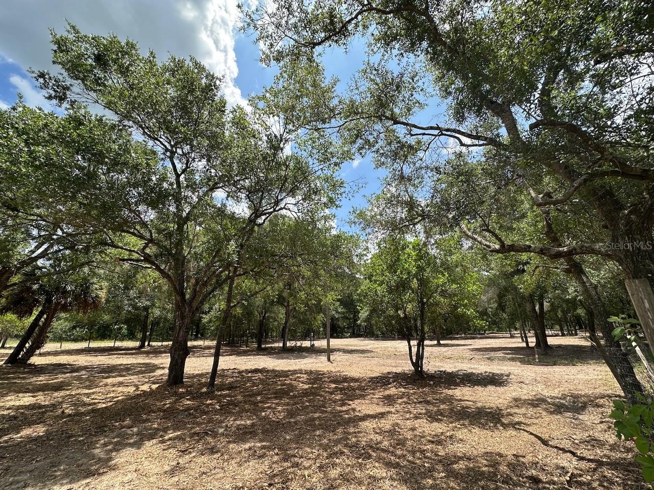 Photo of 11000 KITTEN TRAIL HUDSON FL 34669