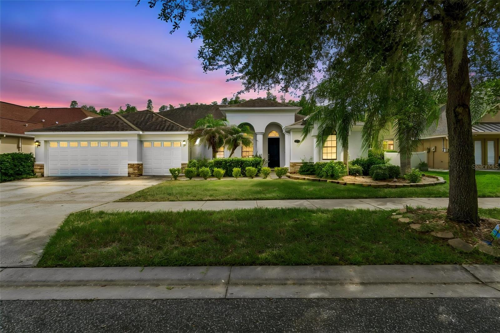 Photo of 19236 CLIMBING ASTER DRIVE TAMPA FL 33647