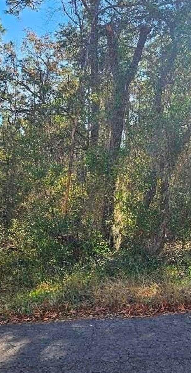 Photo of 609 N BRIGHTON ROAD LECANTO FL 34461