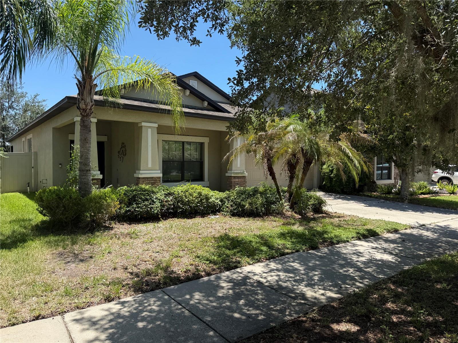 Photo of 11617 PALMETTO PINE STREET RIVERVIEW FL 33569