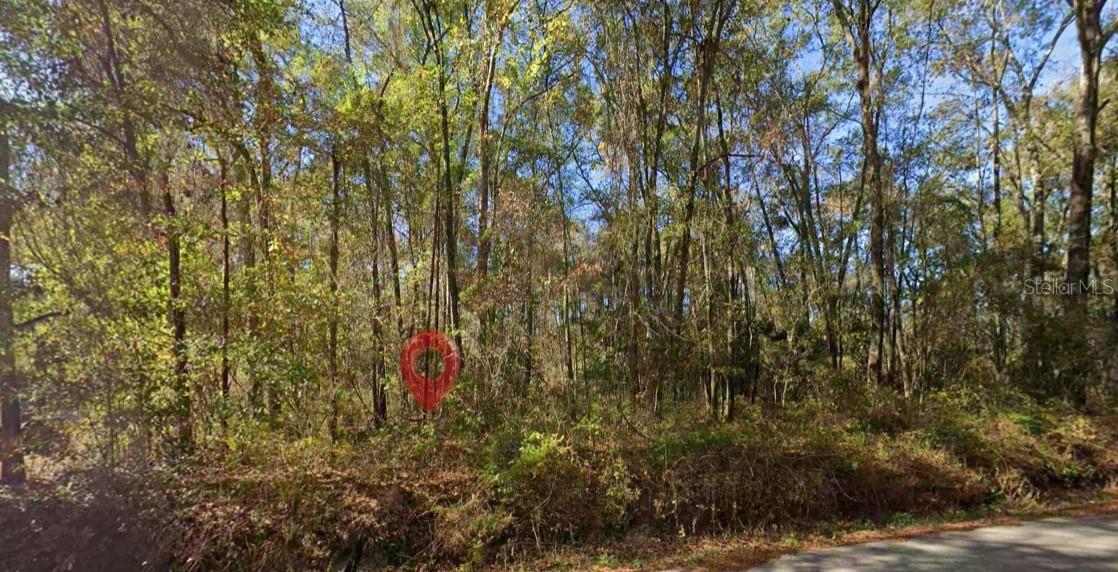 Photo of IAMONIA LANDING ROAD TALLAHASSEE FL 32312