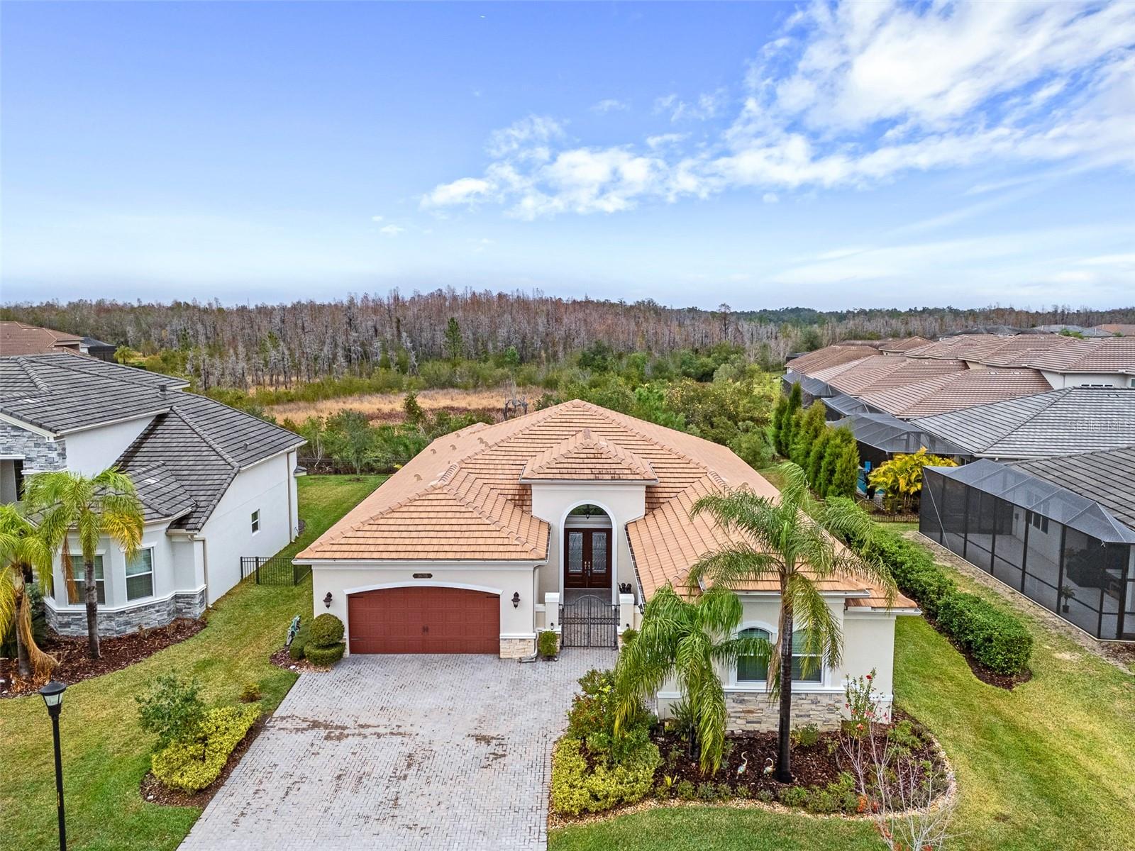 Photo of 30715 TUMBLEBERRY STREET WESLEY CHAPEL FL 33543