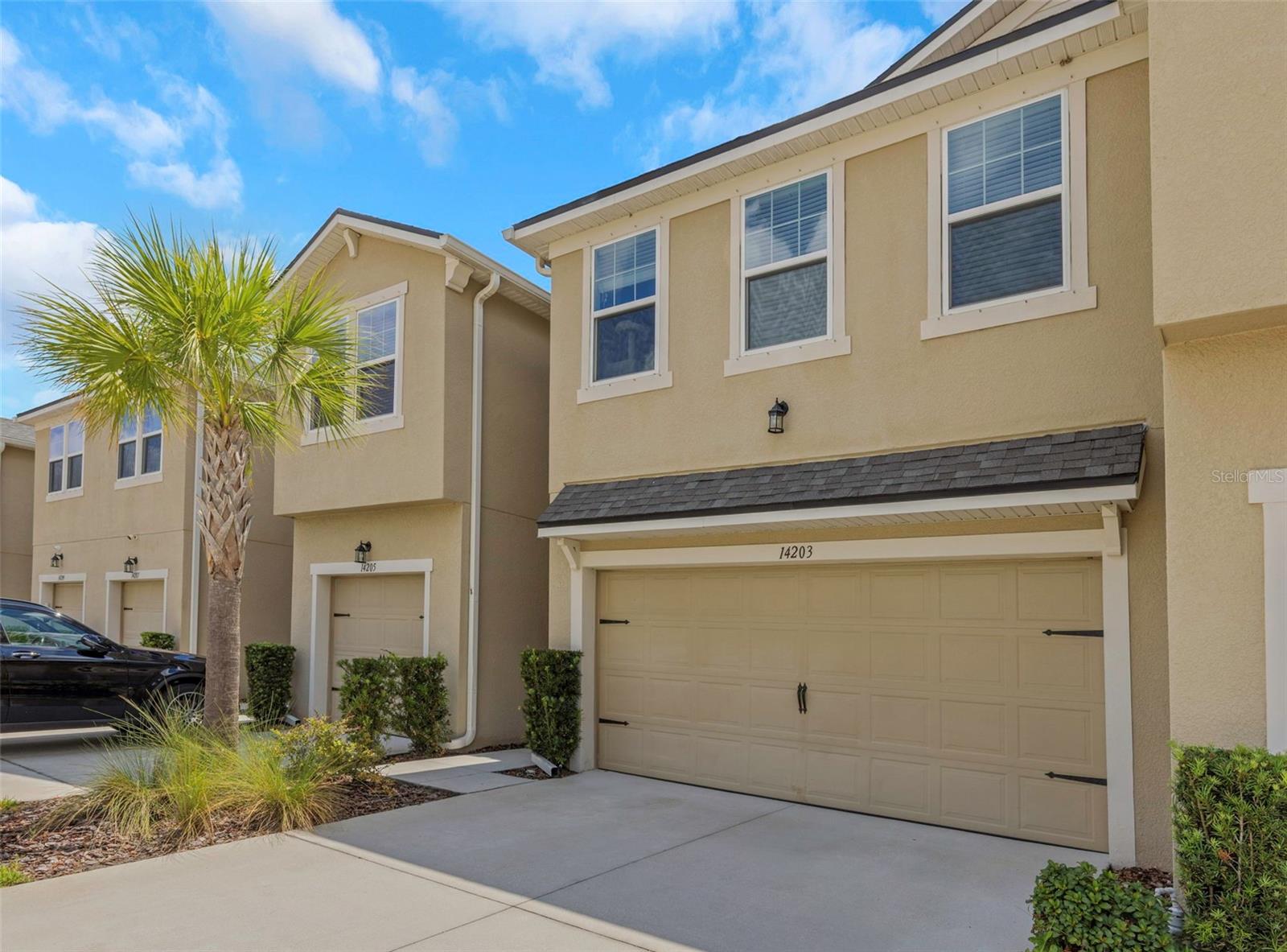 Photo of 14203 DAMSELFLY DRIVE TAMPA FL 33625