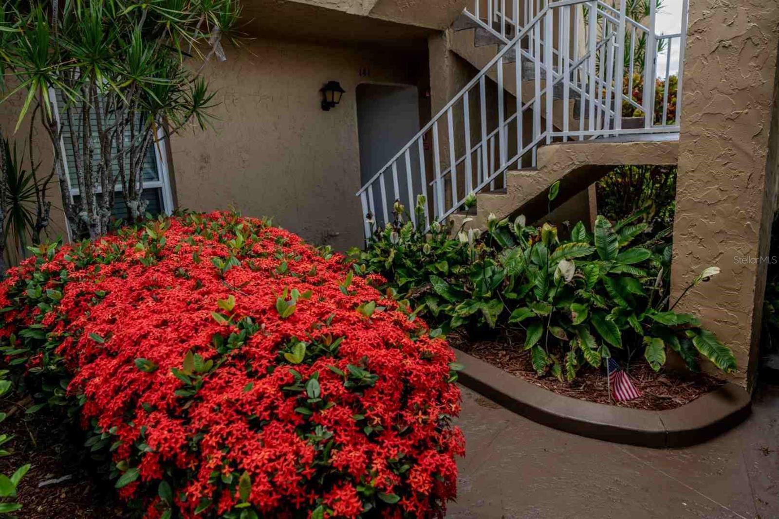 Photo of 225 COUNTRY CLUB DRIVE #D142 LARGO FL 33771