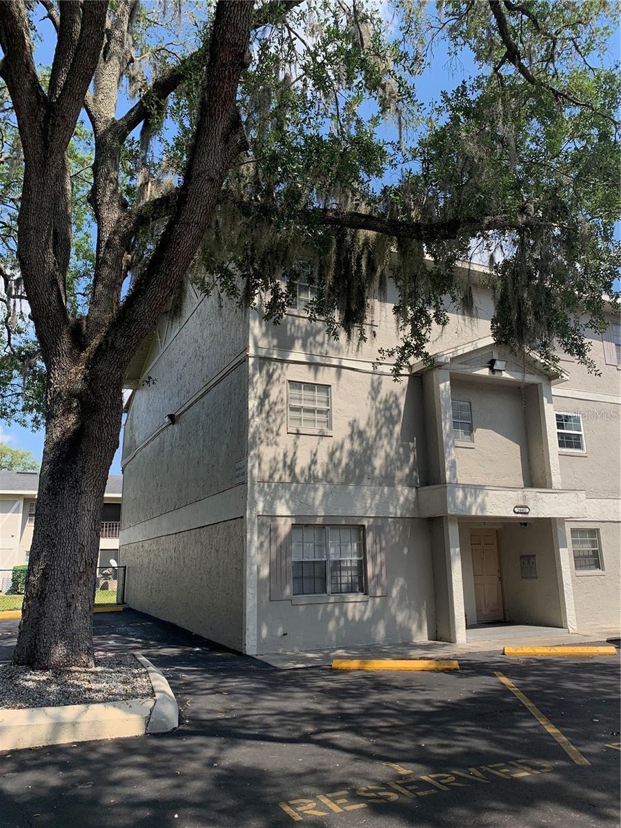 Photo of 14402 REUTER STRASSE CIRCLE ##2 TAMPA FL 33613