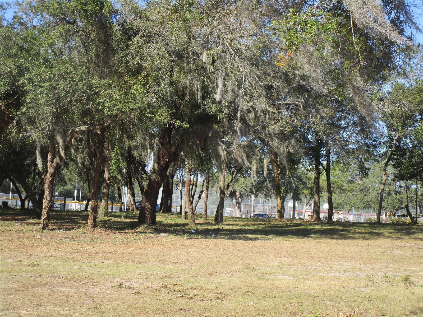 Photo of 6718 N ROME AVENUE TAMPA FL 33604