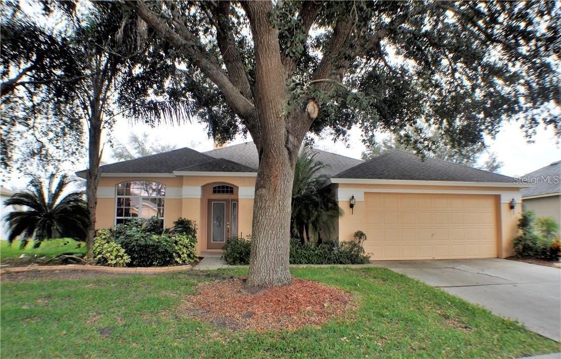 Photo of 3806 TRIPLE JUMP STREET VALRICO FL 33596