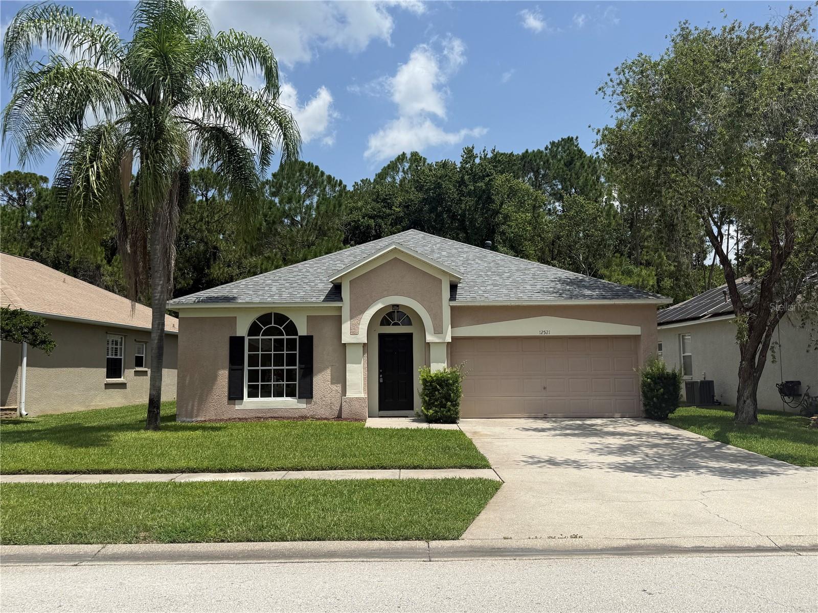 Photo of 12521 SPARKLEBERRY ROAD TAMPA FL 33626
