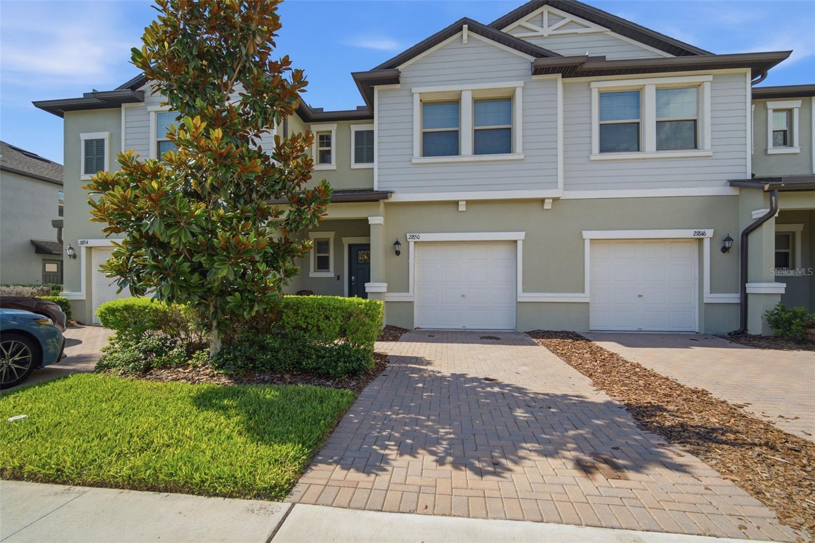 Photo of 21850 LYONIA LANE LAND O LAKES FL 34637