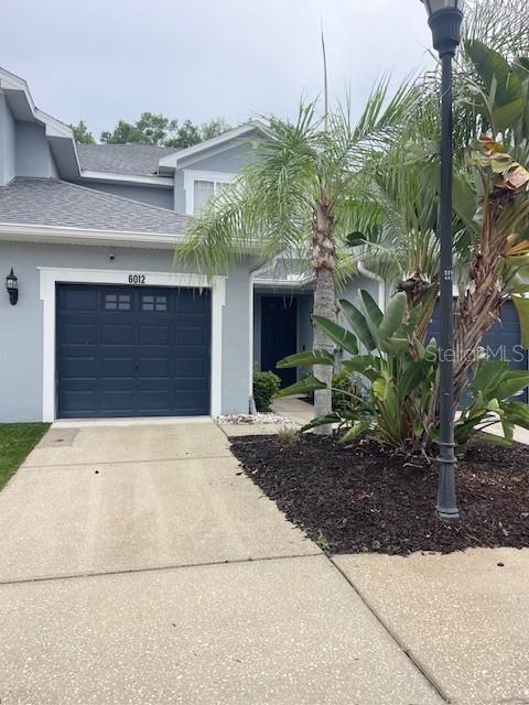 Photo of 6012 PARKSIDE MEADOW DRIVE TAMPA FL 33625