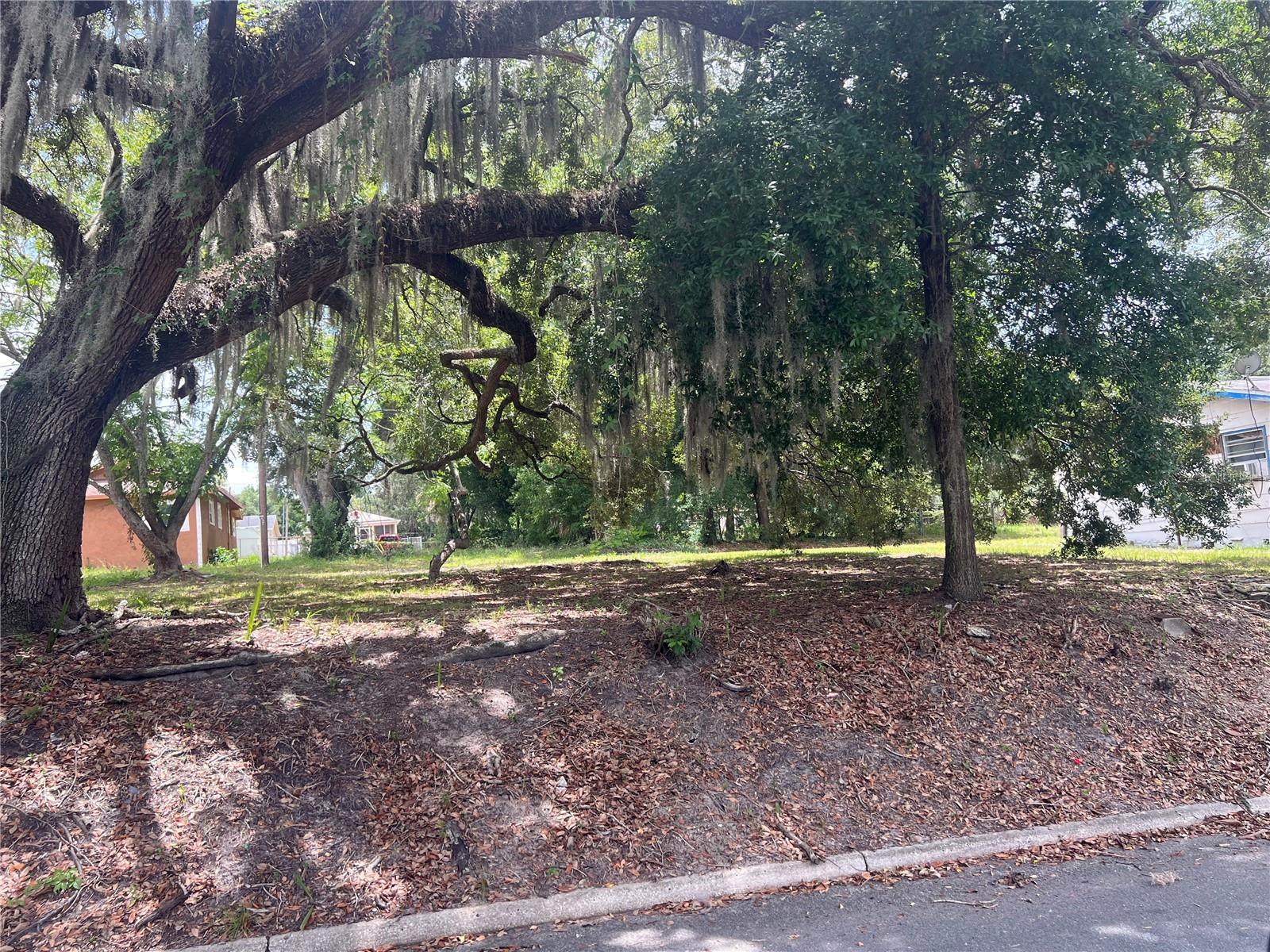 Photo of 516 W CRAWFORD STREET LAKELAND FL 33805